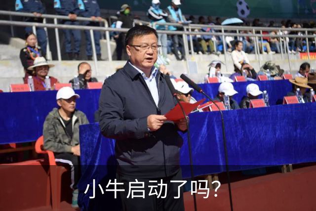 小牛启动了吗？